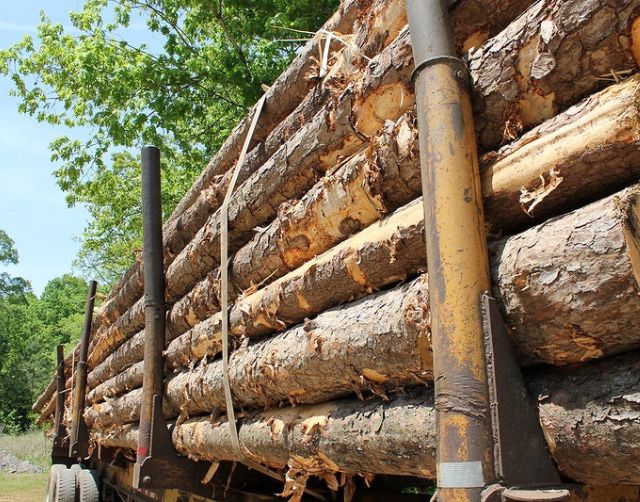 financement équipement forestier